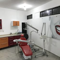 Dentista: Ortodoncia E Implantes Dentales