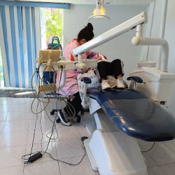 Dentista Para Niños