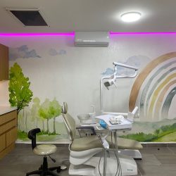 Dentista Para Niños / Kids Integra Dental