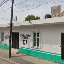 Dentista Patrícia Maldonado