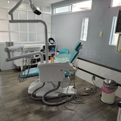 Dentista Pilar Dehesa Villafuerte
