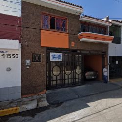 Dentista Rayos X