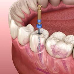 Dentista Roberto