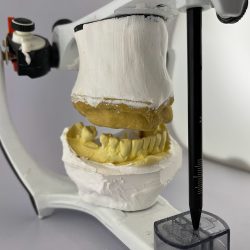 Dentista Valeria Bustos