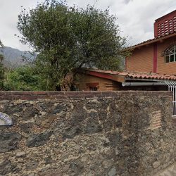 Dentista Y Casa Avila