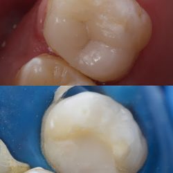 Dentista Yessica Ornelas
