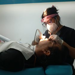 Dentistaplus