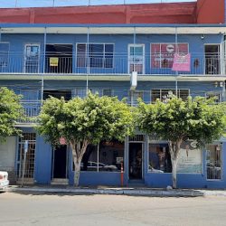 Dentistas Asociados
