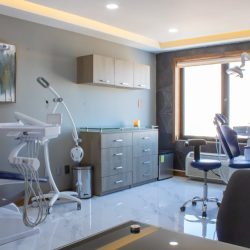 Negocio Dentistas En Chihuahua Alta Dental