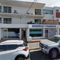 Dentistas En Monterrey | Dra Guevara Soto | Limpieza Dental