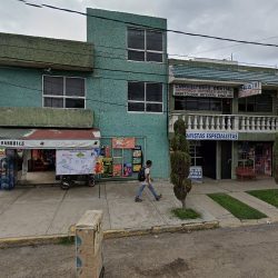 Dentistas Especialistas