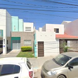 Dentistas Especializados