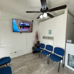 Dentistas