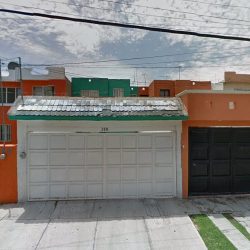 Dentistas Obligatorio