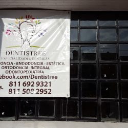 Dentistree