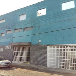 Dentistree Kids Odontopediatra En Guadalajara