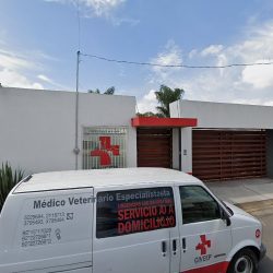Dentrika Metepec