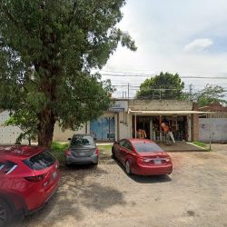Dentsalud