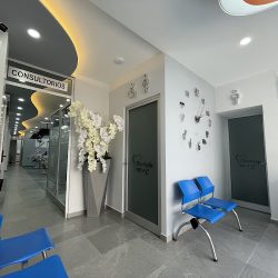 Denttaly Mdc
