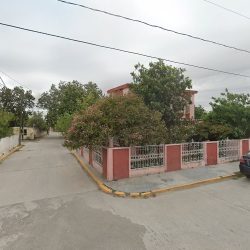 Depodent