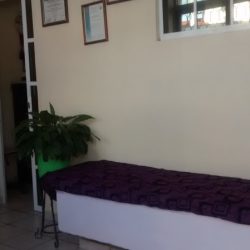 Doctora Acosta Flores Reyna