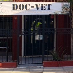 Docvet Clinica Dental Veterinaria