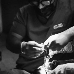 Dr Adrian Aguilar Hdez Cirujano Dentista