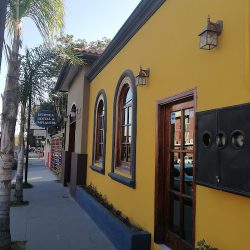 Dr Alejandro Herrera Jimenez
