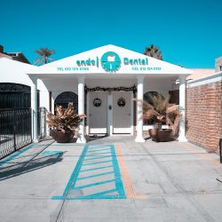 Dr. Daniel Estrada Talamantes | Endodental