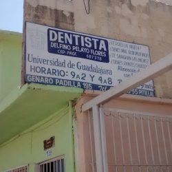 Dr. Delfino Pelayo Flores