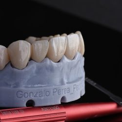 Dr. Gonzalo Perea