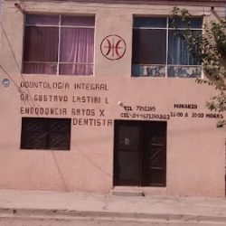 Dr. Gustavo Lastiri L.