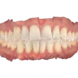 Dr. Homero Castañeda Rojo, Dentista - Odontólogo