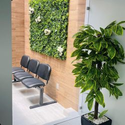 Dr. Jaime Valle Ledesma, Dentista - Odontólogo