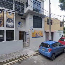Dr. Jose Evaristo Benitez Priego, Dentista - Odontólogo