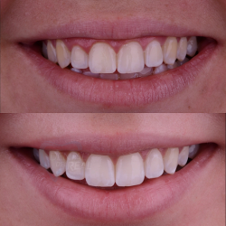 Dr. José Francisco Del Real García, Dentista - Odontólogo