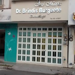 Dr. José María Brindis Burguete