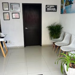 Dr. Leonardo Ibarra Odontología