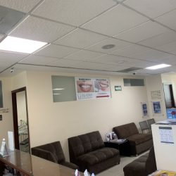 Dr. María Dolores Platas, Dentista - Odontólogo