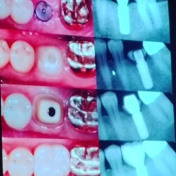 Dr Ozz Dental Care