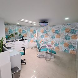 Dr. Raúl Gerardo Rodríguez Gonzalez, Dentista - Odontólogo