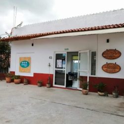 Dr. Rivera Dentista Especialista En Ortodoncia (brackets E Invisalign)