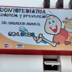 Dr. Salvador Anaya S.