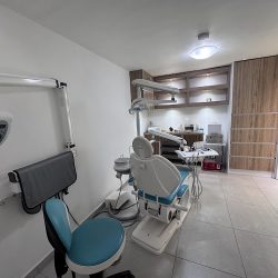 Dra. Adriana Bravo Romero OdontologÍa HolÍstica