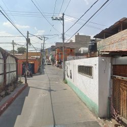 Dra. Alejandra Ordoñez Angulo