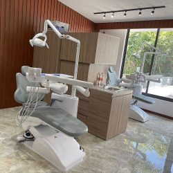Dra. Alondra Serrano Meléndrez, Dentista - Odontólogo