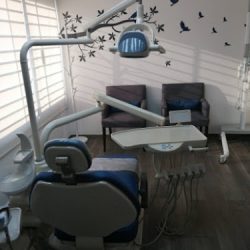 Dra. Amelia Estrada Ramirez, Dentista - Odontólogo
