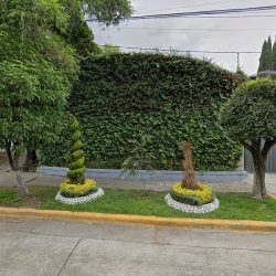 Dra. Andrea Aranda, Dentista - Odontólogo