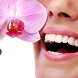Dra. Anita Armada - Dentista En Temixco