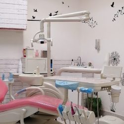 Dra Berenice Cruz, Dentista En Salvatierra, Ortodoncista